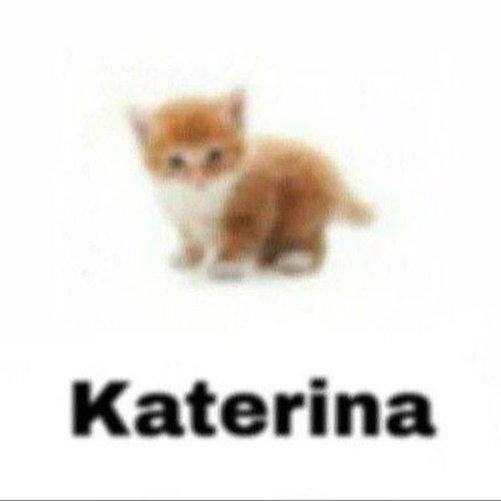 Котёнок с подписью Katerina